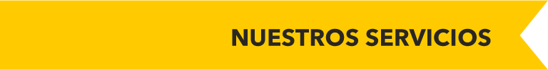 Nuestros Servicios